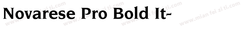 Novarese Pro Bold It字体转换